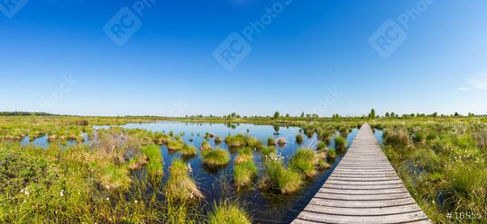 Hautes Fagnes (Hohes Venn) panorama  : Stock Photo or Stock Video Download rcfotostock photos, images and assets rcfotostock | RC Photo Stock.: