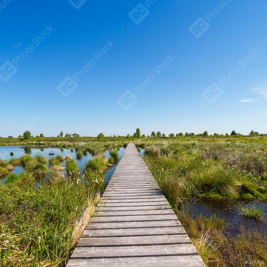 Hautes Fagnes (Hohes Venn) with trail in spring time  : Stock Photo or Stock Video Download rcfotostock photos, images and assets rcfotostock | RC Photo Stock.: