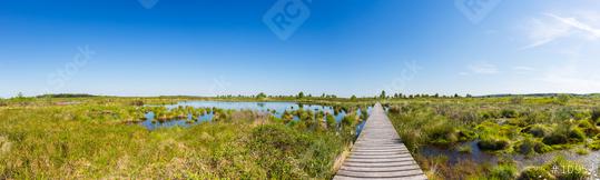 Hautes Fagnes with a boardwalk over a bog pond panorama  : Stock Photo or Stock Video Download rcfotostock photos, images and assets rcfotostock | RC Photo Stock.: