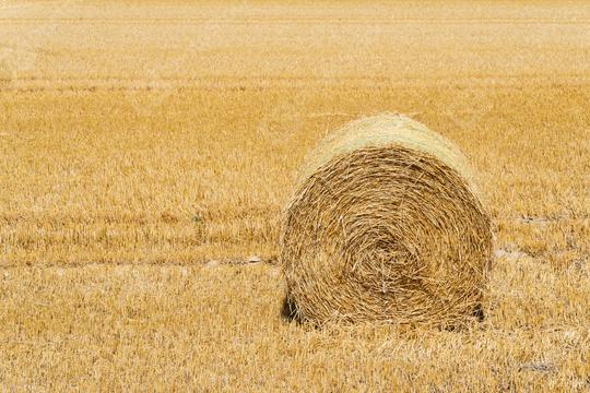 Hay bale on a agriculture field. copyspace for your individual text.  : Stock Photo or Stock Video Download rcfotostock photos, images and assets rcfotostock | RC Photo Stock.: