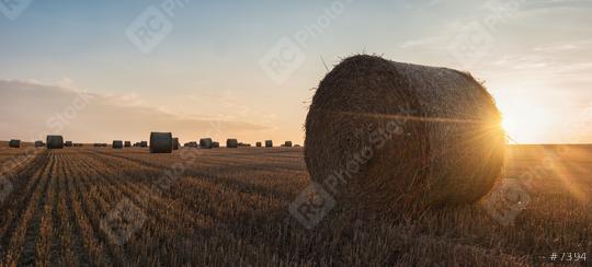 hay bales in the sunset  : Stock Photo or Stock Video Download rcfotostock photos, images and assets rcfotostock | RC Photo Stock.: