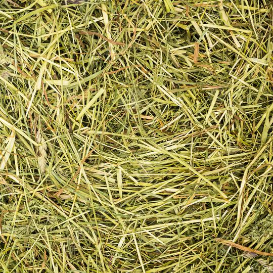 hay texture background  : Stock Photo or Stock Video Download rcfotostock photos, images and assets rcfotostock | RC Photo Stock.: