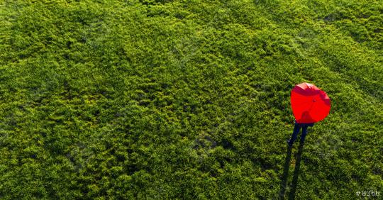 heart shape umbrella on a green summer meadow - view from a drone  : Stock Photo or Stock Video Download rcfotostock photos, images and assets rcfotostock | RC Photo Stock.: