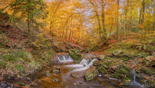 Herbst an der Hoegne, Laub, Wasser, Belgien  : Stock Photo or Stock Video Download rcfotostock photos, images and assets rcfotostock | RC Photo Stock.: