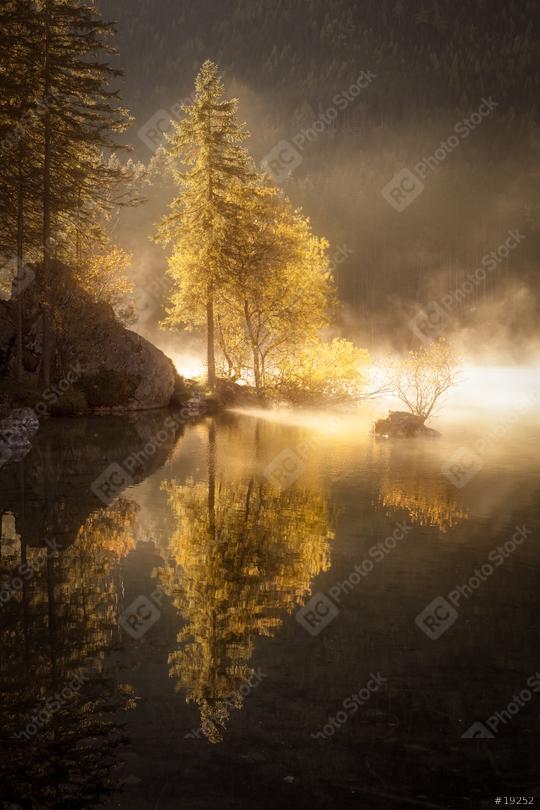 Herbstlicher Baum mit Spiegelung und Nebel im Morgenlicht, Bayern  : Stock Photo or Stock Video Download rcfotostock photos, images and assets rcfotostock | RC Photo Stock.: