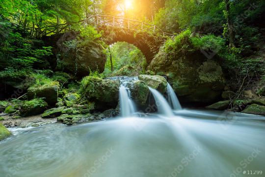 Hidden Mysteries waterfall in the forest  : Stock Photo or Stock Video Download rcfotostock photos, images and assets rcfotostock | RC Photo Stock.: