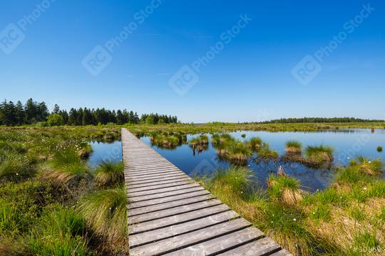 High Fens bog landscape at summer  : Stock Photo or Stock Video Download rcfotostock photos, images and assets rcfotostock | RC Photo Stock.: