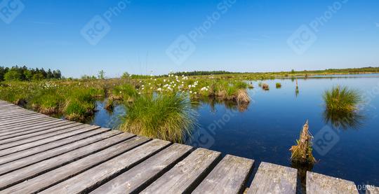 High Fens (Hautes Fagnes) a bog landscape at spring  : Stock Photo or Stock Video Download rcfotostock photos, images and assets rcfotostock | RC Photo Stock.: