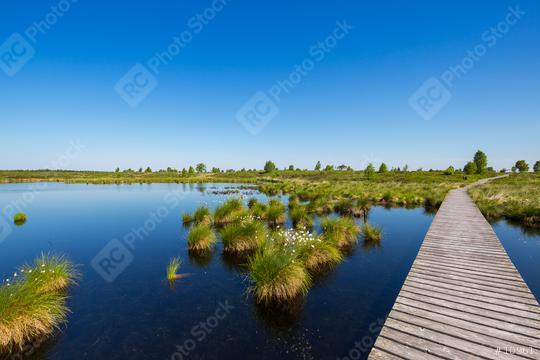 High Fens (Hautes Fagnes) at spring time at the eifel national park  : Stock Photo or Stock Video Download rcfotostock photos, images and assets rcfotostock | RC Photo Stock.: