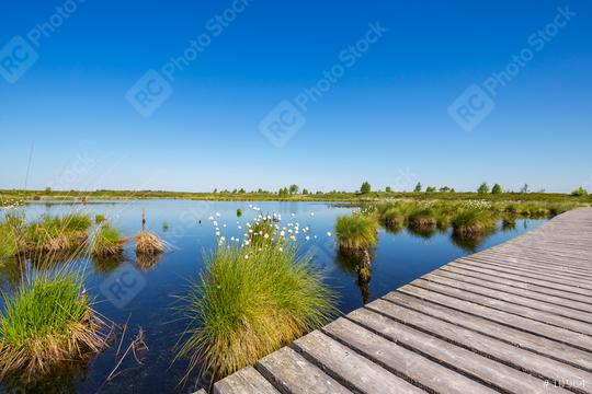 High Fens (Hautes Fagnes) bog nature landscape at spring  : Stock Photo or Stock Video Download rcfotostock photos, images and assets rcfotostock | RC Photo Stock.: