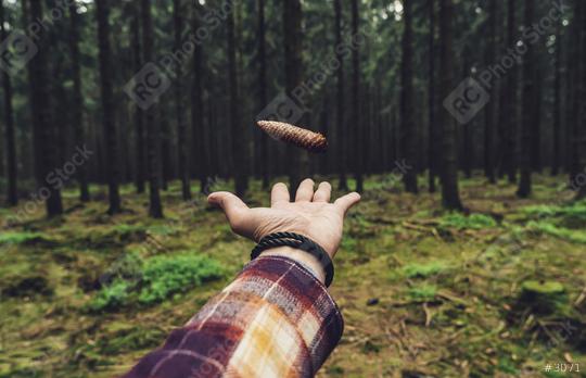 hiker throw up a pine cone in the forest  : Stock Photo or Stock Video Download rcfotostock photos, images and assets rcfotostock | RC Photo Stock.: