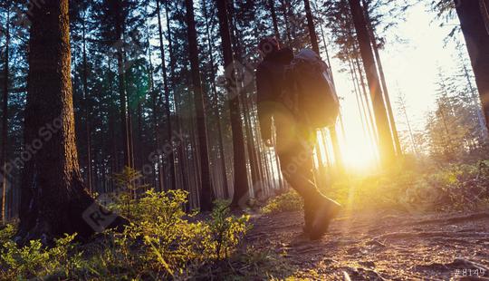 Hiker with backpack walks in forrest and enjoys nature and sunlight - Travel Life Concept image  : Stock Photo or Stock Video Download rcfotostock photos, images and assets rcfotostock | RC Photo Stock.: