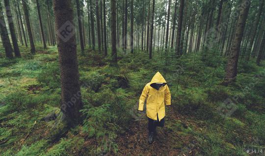 hiker with yellow rain jacket walks in the foggy forest  : Stock Photo or Stock Video Download rcfotostock photos, images and assets rcfotostock | RC Photo Stock.: