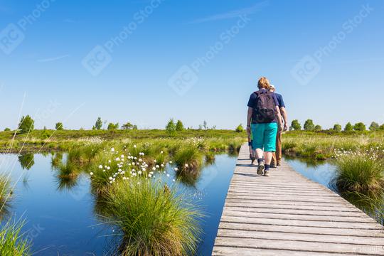 Hiking in the Hautes Fagnes a bog landscape  : Stock Photo or Stock Video Download rcfotostock photos, images and assets rcfotostock | RC Photo Stock.: