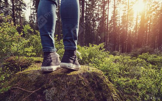Hipster girl stands on a tree trunk in the forest -explore Life Concept image  : Stock Photo or Stock Video Download rcfotostock photos, images and assets rcfotostock | RC Photo Stock.: