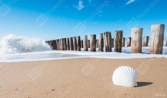 holidays at the Beach in Domburg, Zeeland, Holland  : Stock Photo or Stock Video Download rcfotostock photos, images and assets rcfotostock | RC Photo Stock.: