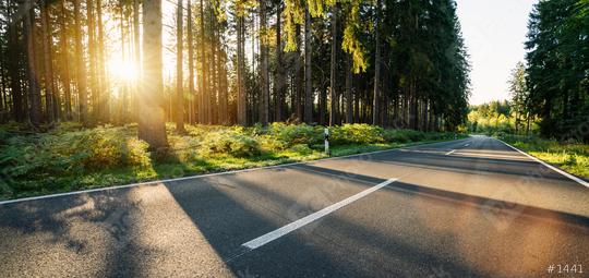 hughway into Forest in summer with beautiful bright sun rays  : Stock Photo or Stock Video Download rcfotostock photos, images and assets rcfotostock | RC Photo Stock.: