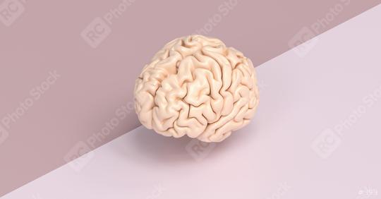 Human brain against a tow side ground, concept image for brainstorming  : Stock Photo or Stock Video Download rcfotostock photos, images and assets rcfotostock | RC Photo Stock.: