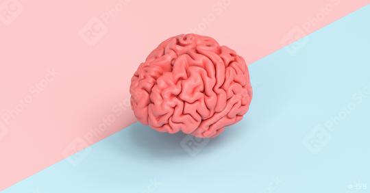 Human brain against a tow side ground, concept image for feminism and woman rights  : Stock Photo or Stock Video Download rcfotostock photos, images and assets rcfotostock | RC Photo Stock.: