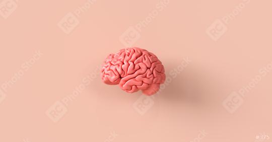 Human brain Anatomical Model, medical concept image  : Stock Photo or Stock Video Download rcfotostock photos, images and assets rcfotostock | RC-Photo-Stock.: