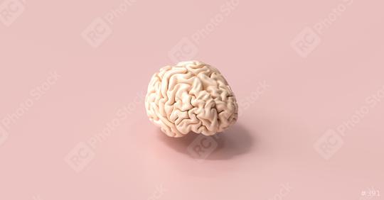 Human brain Anatomical Model on floor  : Stock Photo or Stock Video Download rcfotostock photos, images and assets rcfotostock | RC Photo Stock.: