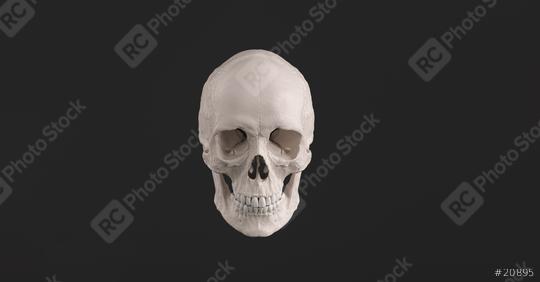 Human Skull and Jaw Bone front view Pirate Poison Horror Symbol Halloween Medical. Anatomy and medicine concept image.  : Stock Photo or Stock Video Download rcfotostock photos, images and assets rcfotostock | RC Photo Stock.: