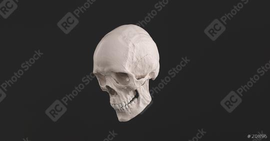 Human Skull and Jaw Bone side view Pirate Poison Horror Symbol Halloween Medical. Anatomy and medicine concept image.  : Stock Photo or Stock Video Download rcfotostock photos, images and assets rcfotostock | RC Photo Stock.: