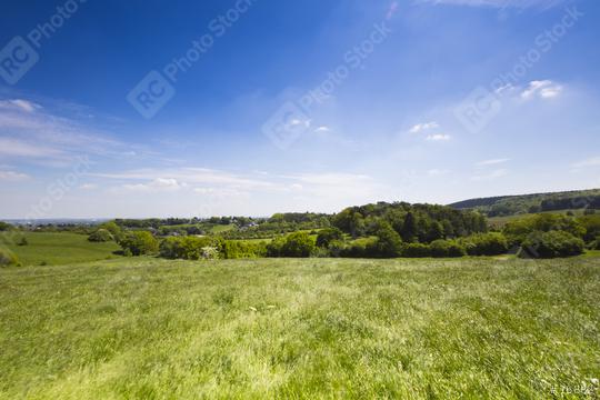 idyllic forest landscape in summer  : Stock Photo or Stock Video Download rcfotostock photos, images and assets rcfotostock | RC Photo Stock.: