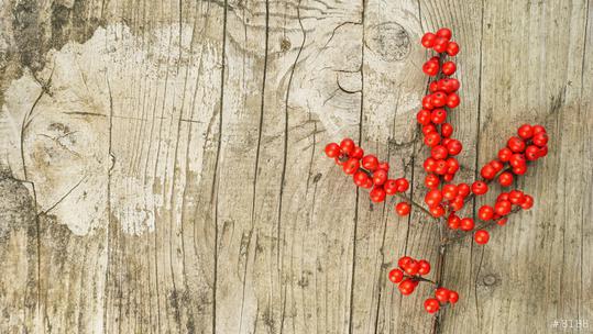 Ilex twig with red berrys on a wooden board - christmas decoration  : Stock Photo or Stock Video Download rcfotostock photos, images and assets rcfotostock | RC Photo Stock.:
