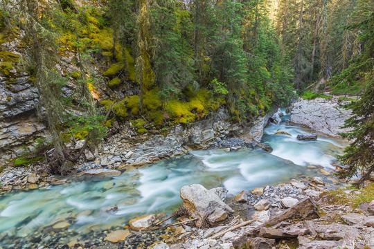 Johnston canyon river at the alberta national park canada   : Stock Photo or Stock Video Download rcfotostock photos, images and assets rcfotostock | RC Photo Stock.: