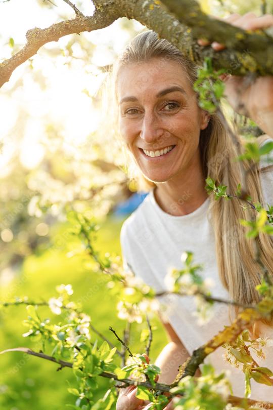 Joyful mature woman smiling, peeking through lush apple tree branches in spring  : Stock Photo or Stock Video Download rcfotostock photos, images and assets rcfotostock | RC Photo Stock.: