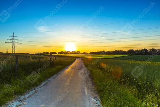 lane before sunset with Rape field at dusk sunset with power pole  : Stock Photo or Stock Video Download rcfotostock photos, images and assets rcfotostock | RC Photo Stock.: