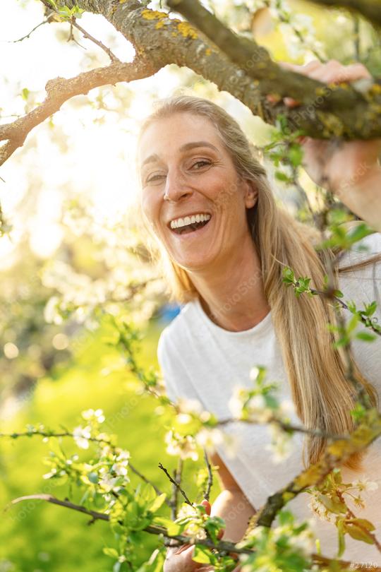 Laughing mature woman enjoying a sunny day in a blooming apple tree during spring  : Stock Photo or Stock Video Download rcfotostock photos, images and assets rcfotostock | RC Photo Stock.: