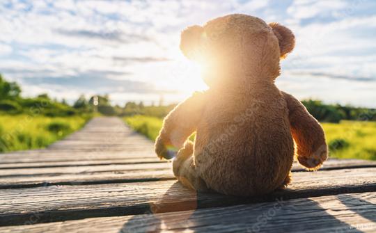 lonley Teddy bear sitting on a Wooden path at sunset. copyspace for your individual text.  : Stock Photo or Stock Video Download rcfotostock photos, images and assets rcfotostock | RC Photo Stock.: