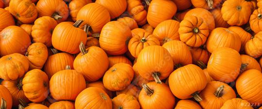 lot of pumpkins at outdoor farmers market as halloween decoration  : Stock Photo or Stock Video Download rcfotostock photos, images and assets rcfotostock | RC Photo Stock.: