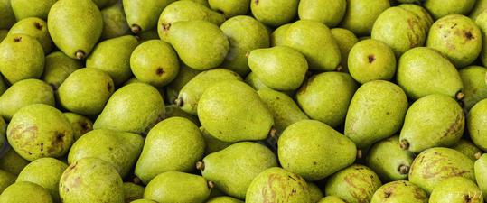 Lots of pears at a fruit market  : Stock Photo or Stock Video Download rcfotostock photos, images and assets rcfotostock | RC Photo Stock.: