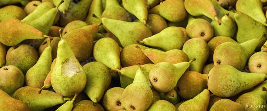 Lots of pears with bitten pear in a pile, vegan food  : Stock Photo or Stock Video Download rcfotostock photos, images and assets rcfotostock | RC Photo Stock.: