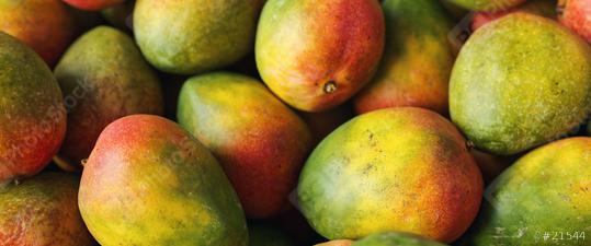 Lots of ripe colorful mangoes in a pile as a background  : Stock Photo or Stock Video Download rcfotostock photos, images and assets rcfotostock | RC Photo Stock.: