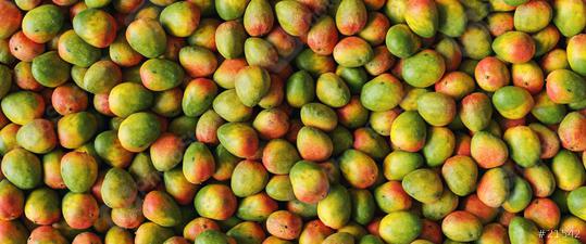 Lots of ripe colorful mangoes in a pile as a background texture, banner size  : Stock Photo or Stock Video Download rcfotostock photos, images and assets rcfotostock | RC Photo Stock.: