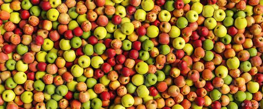 Lots of ripe fresh apples as a health background texture header, banner size  : Stock Photo or Stock Video Download rcfotostock photos, images and assets rcfotostock | RC Photo Stock.:
