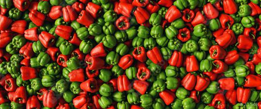 Lots of ripe fresh paprika peppers bells mix red and green as a background texture header, banner size  : Stock Photo or Stock Video Download rcfotostock photos, images and assets rcfotostock | RC Photo Stock.: