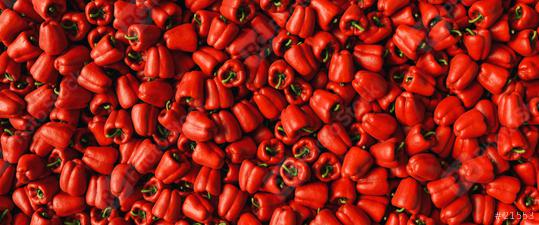 Lots of ripe fresh red paprika peppers bells as a background texture header, banner size  : Stock Photo or Stock Video Download rcfotostock photos, images and assets rcfotostock | RC Photo Stock.: