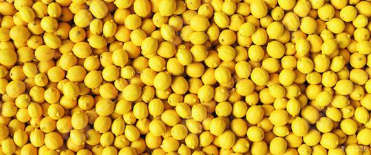 Lots of yellow Lemons s a background, banner size  : Stock Photo or Stock Video Download rcfotostock photos, images and assets rcfotostock | RC Photo Stock.: