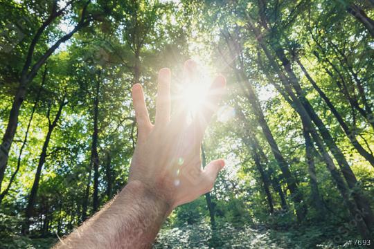 male hand against the forest pass sun beams  : Stock Photo or Stock Video Download rcfotostock photos, images and assets rcfotostock | RC Photo Stock.: