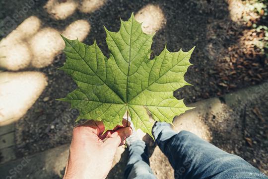 male hand holding leaf at a summer day in the forest, Point of view shot  : Stock Photo or Stock Video Download rcfotostock photos, images and assets rcfotostock | RC Photo Stock.: