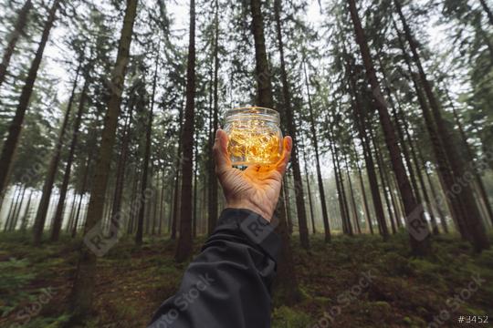man hold Transparent jar with lights from led in a misty forest. Give a Gift. Romantic Hipster Concept.  : Stock Photo or Stock Video Download rcfotostock photos, images and assets rcfotostock | RC Photo Stock.: