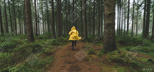 man in yellow rain jacket runs in the forest, fog, rain and mist  : Stock Photo or Stock Video Download rcfotostock photos, images and assets rcfotostock | RC Photo Stock.: