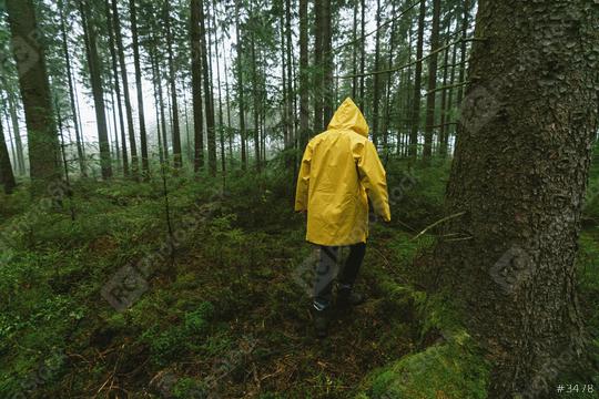 man in yellow rain jacket walks in to the spooky and foggy forest  : Stock Photo or Stock Video Download rcfotostock photos, images and assets rcfotostock | RC Photo Stock.: