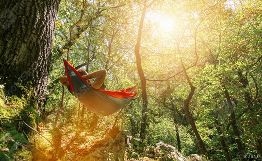 man relaxing in the hammock hanging among the trees in the forest  : Stock Photo or Stock Video Download rcfotostock photos, images and assets rcfotostock | RC Photo Stock.:
