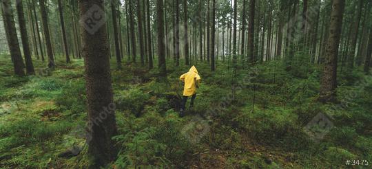 man with yellow rain jacket run in to the dark pine tree forest   : Stock Photo or Stock Video Download rcfotostock photos, images and assets rcfotostock | RC Photo Stock.: